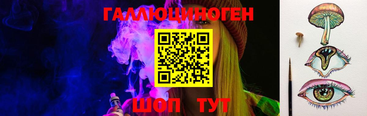Псилоцибиновые грибы GOLDEN TEACHER  Вход с VPN  Новозыбков  Псилоцибиновые грибы мухоморы 