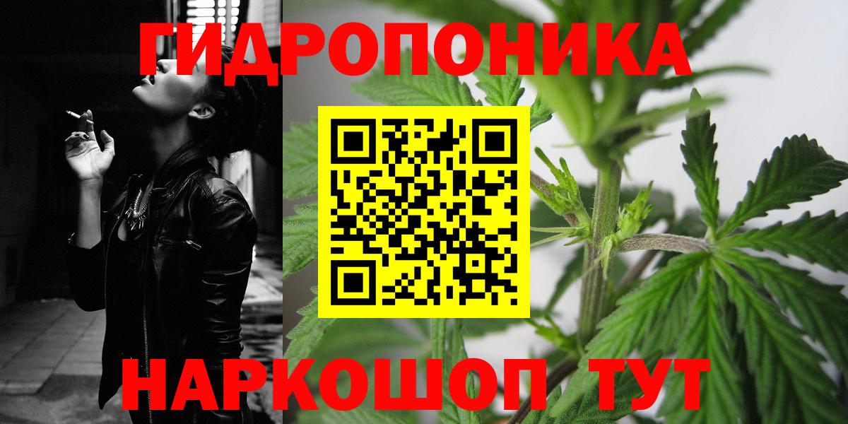 Бошки Шишки конопля  МАРИХУАНА сатива  Вход с VPN  Бошки марихуана план  Новозыбков 